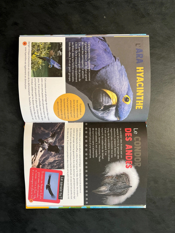 Livre - 100 espèces d’oiseaux à découvrir