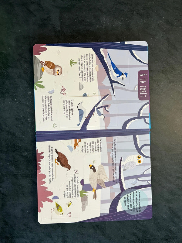 Livre à volets - tes amis les oiseaux