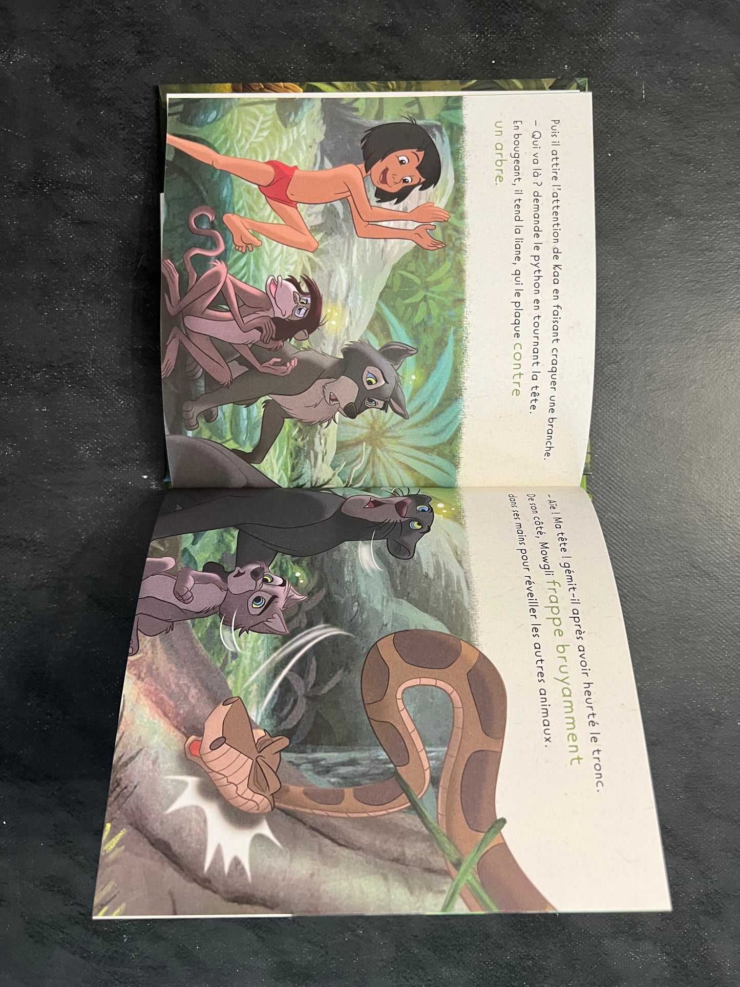 Mon histoire pour la planète - le livre de la jungle