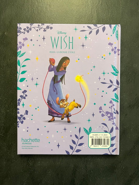 Mon carnet - Wish - Asha et la bonne étoile