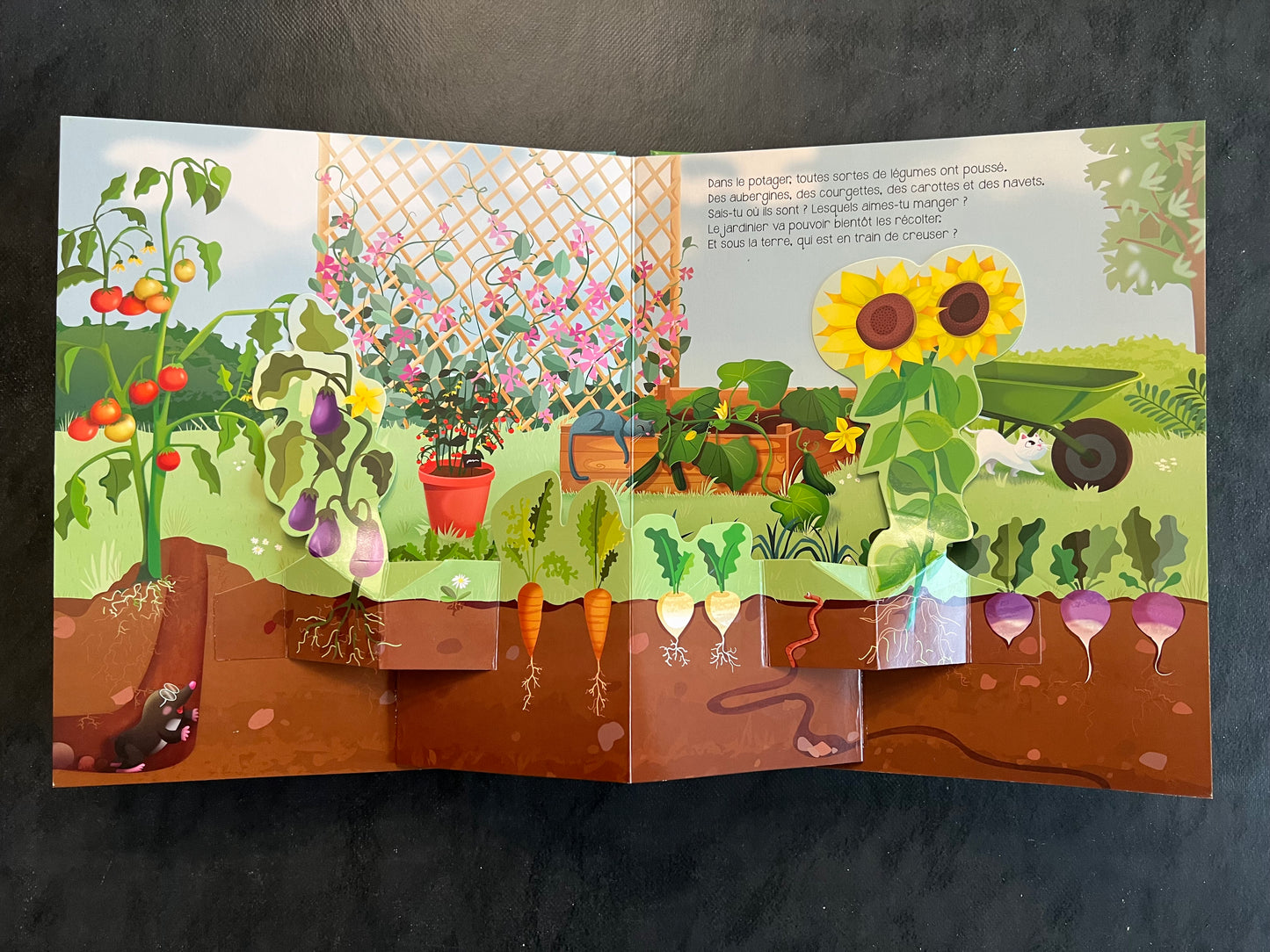 Livre en relief - dans le jardin