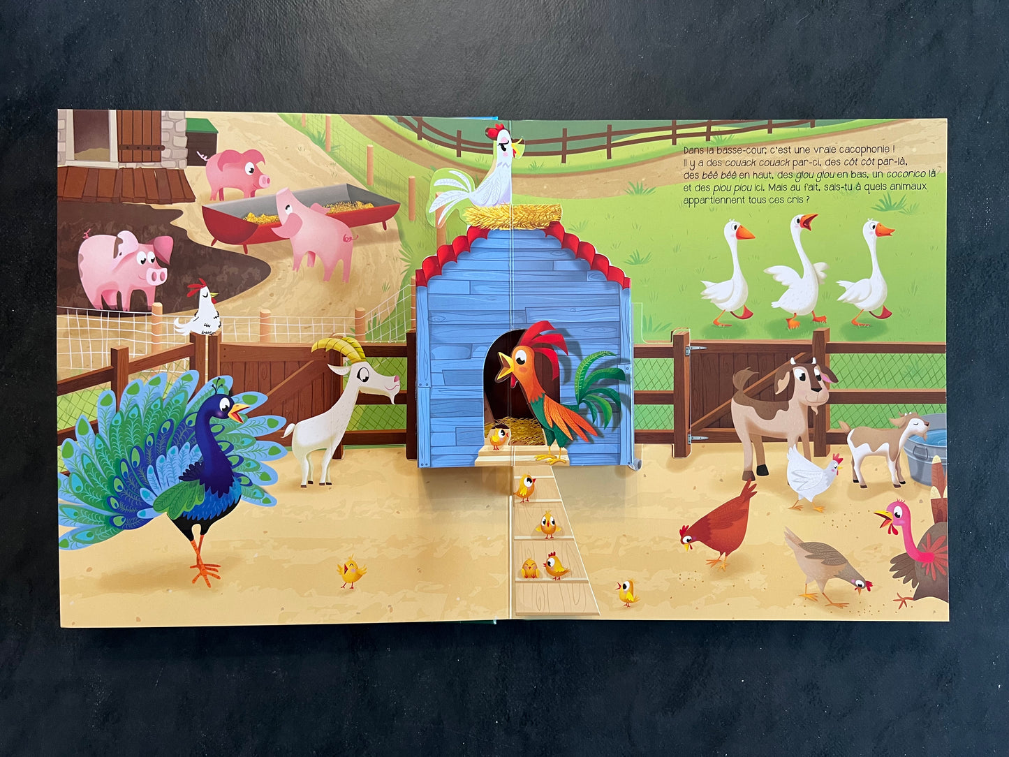 Livre en relief - à la ferme - Découverte tactile dès 2 ans
