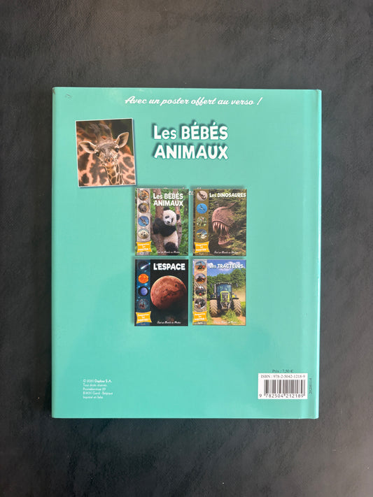 Tout un monde en photos - Les bébés animaux | Dès 3 ans