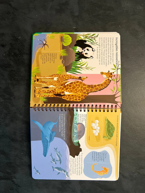 Livre à volets - les bébés animaux