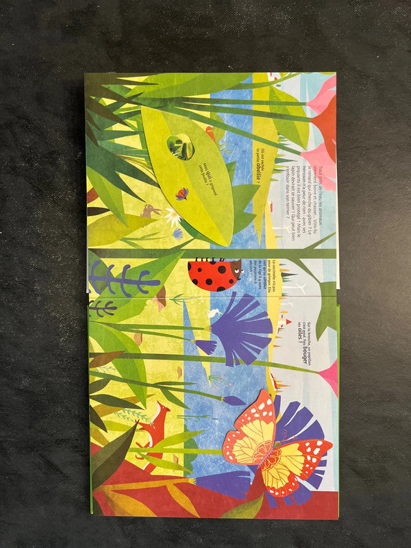 Livre animé - les petites bêtes