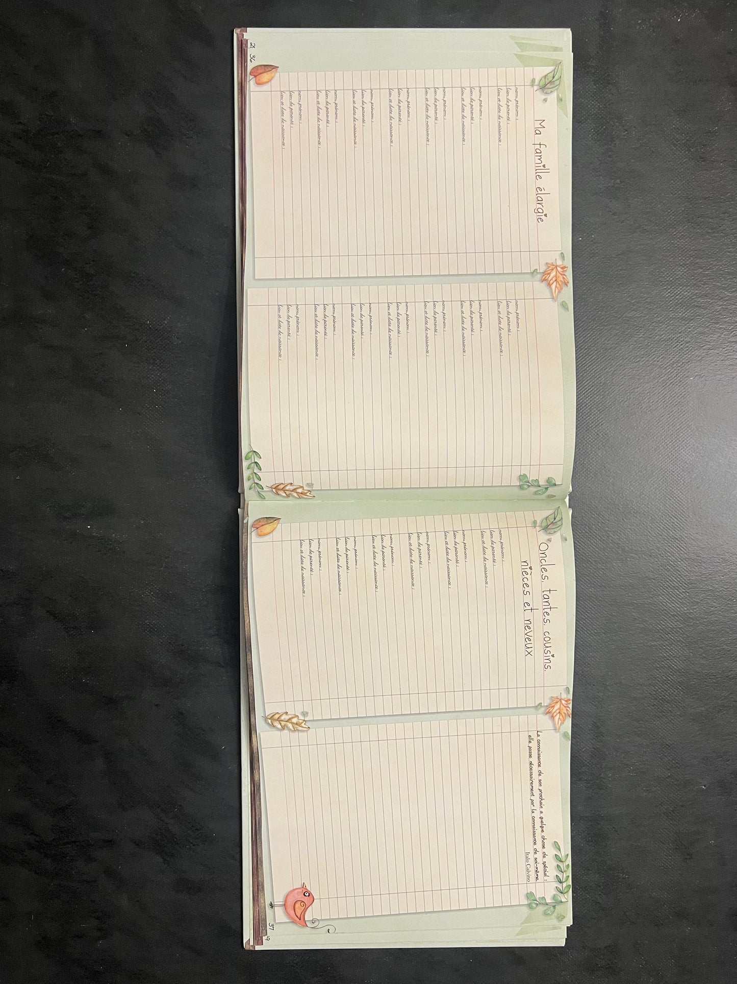 Mon arbre généalogique