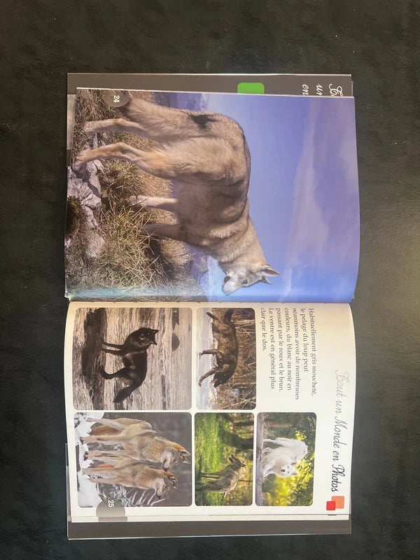 Tout un monde en photos - Les loups | Découverte animalière 5-8 ans