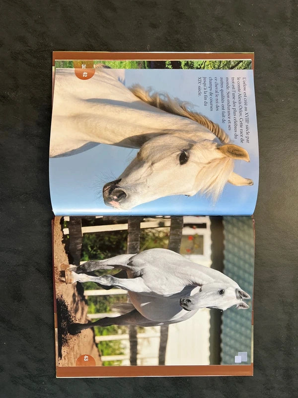 Tout un monde en photos - les chevaux