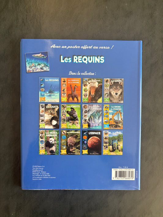 Tout un monde en photos - les requins