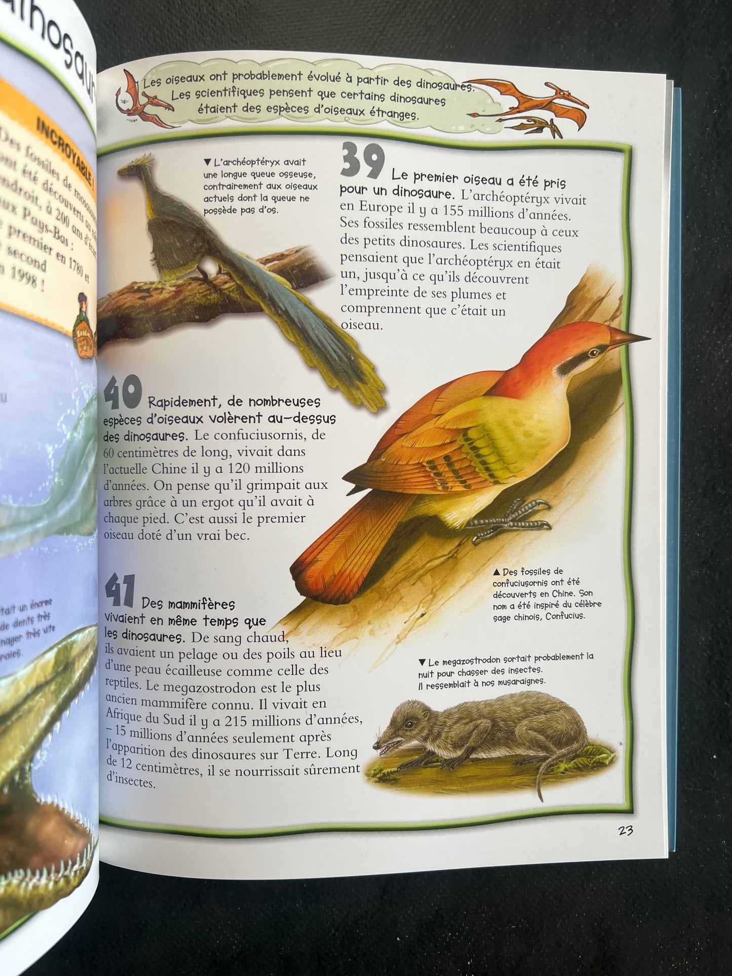 100 infos à connaître - la préhistoire