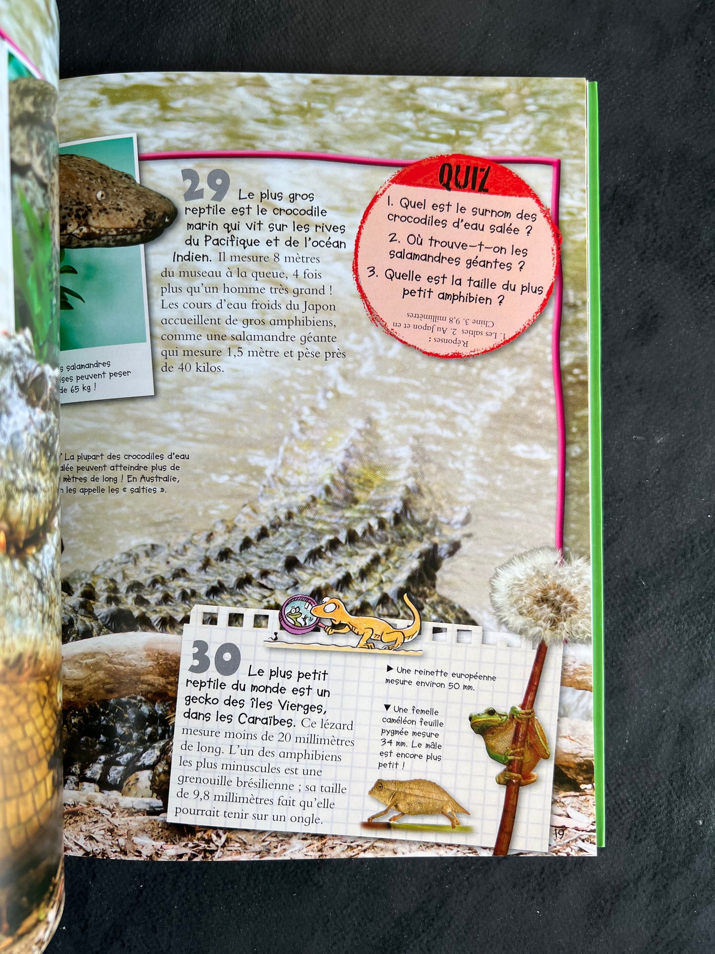 100 infos à connaître - reptiles et amphibiens