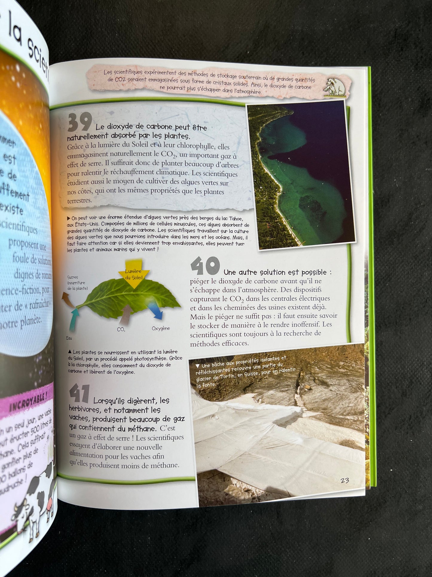 100 infos à connaître - Sauvons la Terre (8-12 ans)