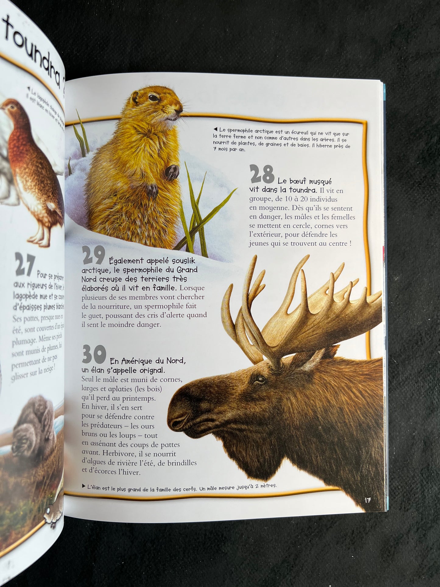 100 infos à connaître - les pôles