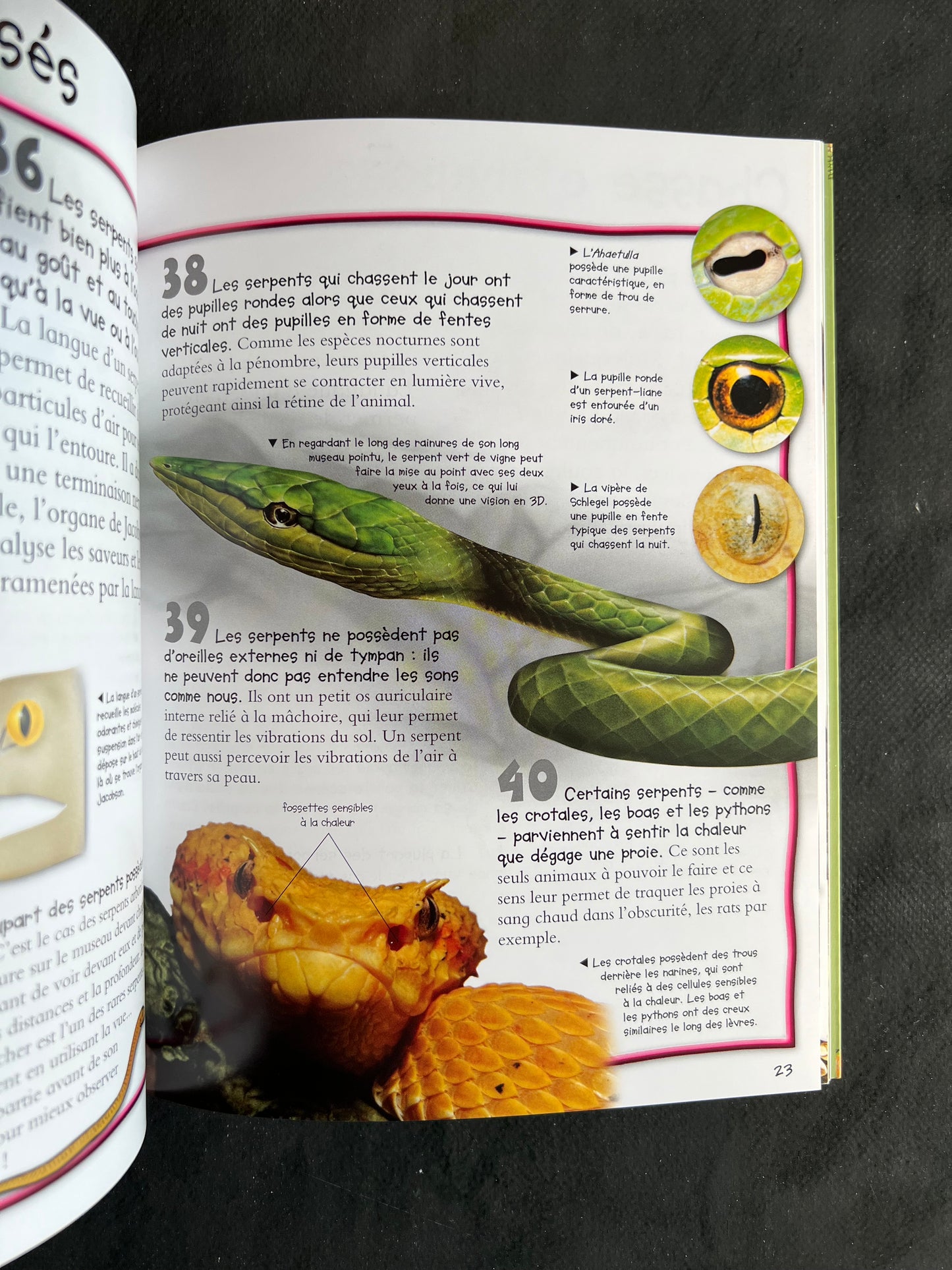 100 infos à connaître - les serpents