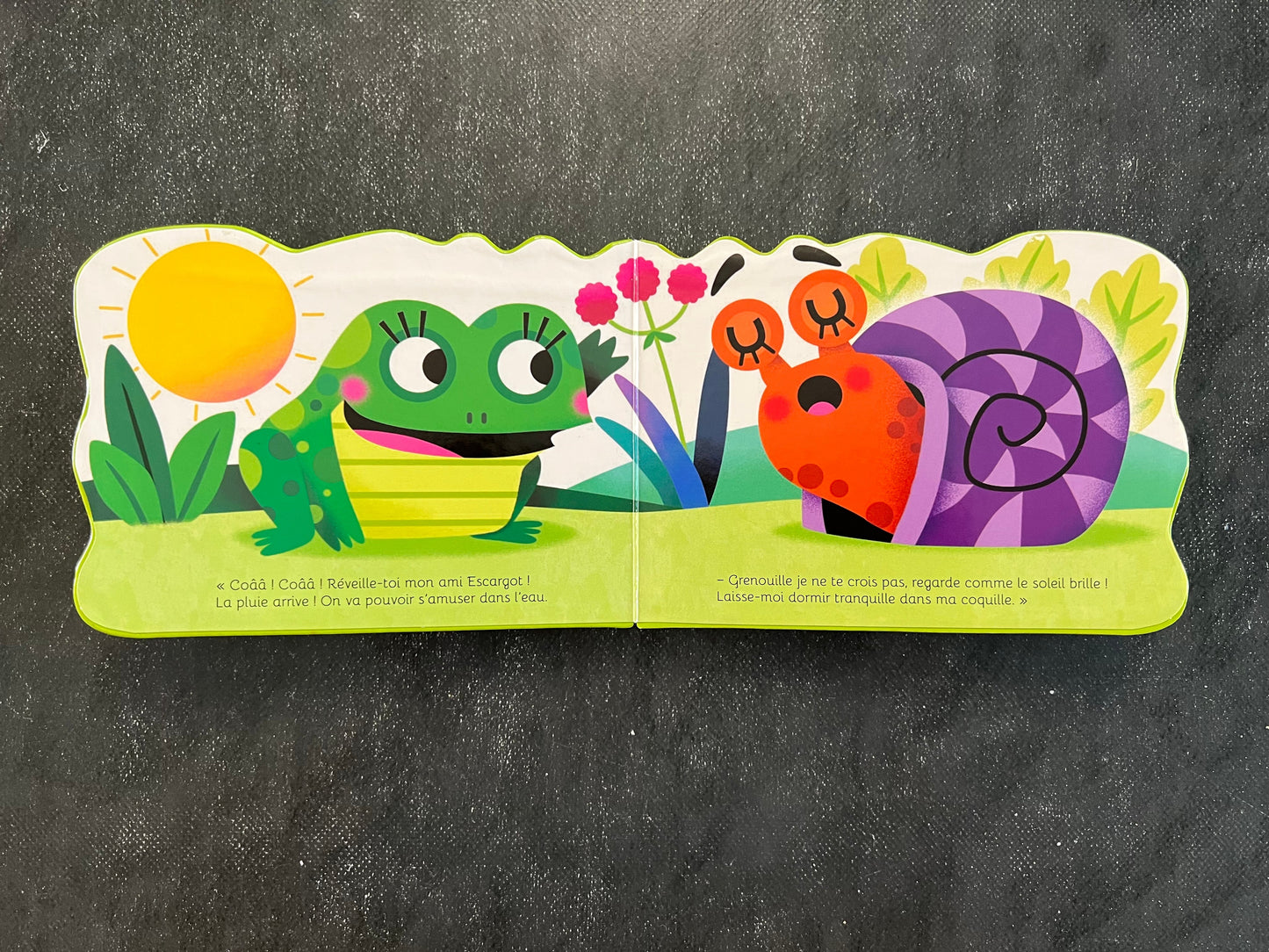 Livre cartonné mini animaux - grenouille