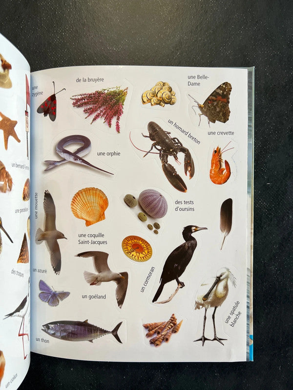 Mon carnet de balade - les bords de mer