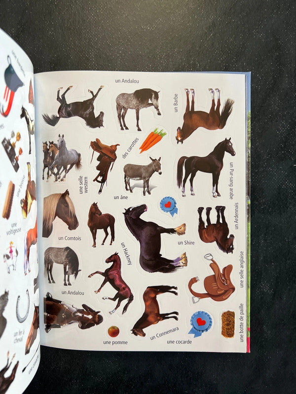 Mon carnet de balade - à cheval