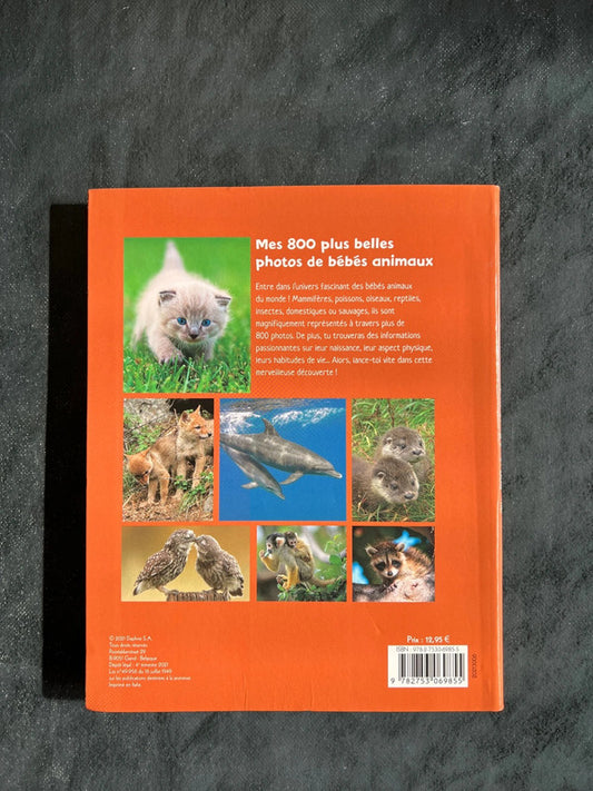 Imagier - bébés animaux