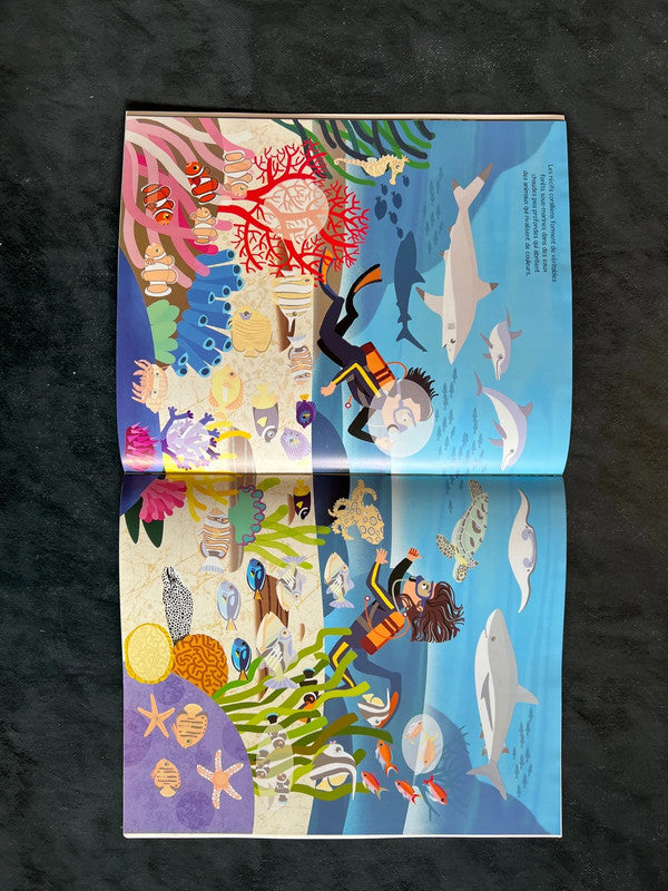 Livre autocollants - les animaux du monde