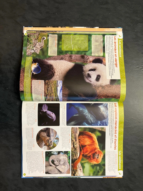Encyclopédie junior - Découvre le monde en 900 photos (8-12 ans)