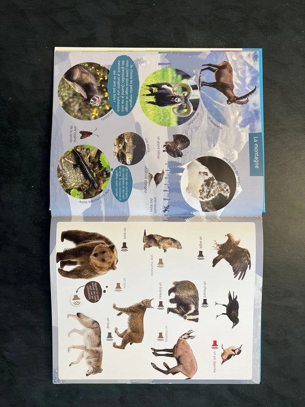 Livre sonore - écoute les animaux