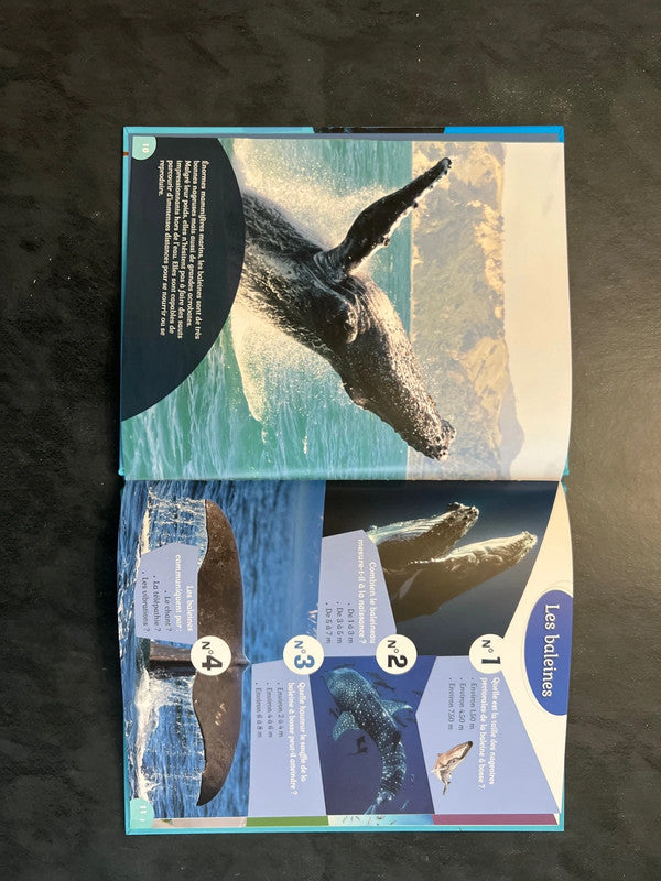 40 questions-réponses - Les animaux des mers (5-8 ans)