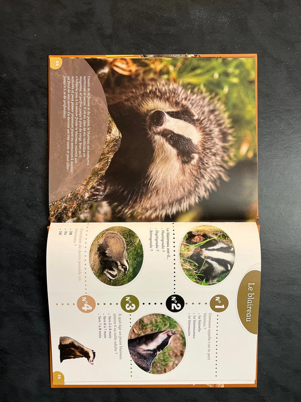 40 questions/réponses - les animaux de la forêt