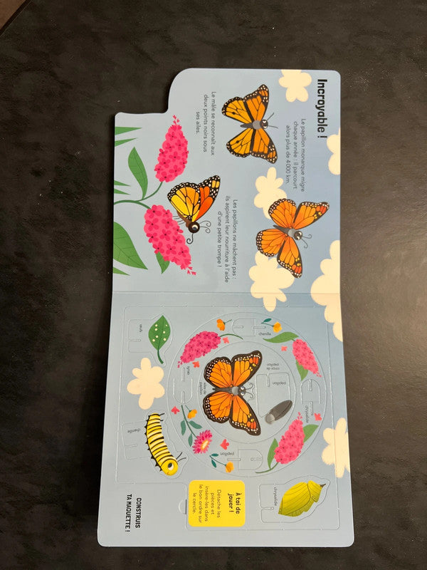 Quand la chenille devient papillon