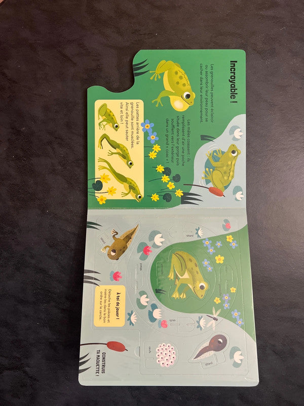 Quand le têtard devient grenouille - Livre-jeu 5-7 ans