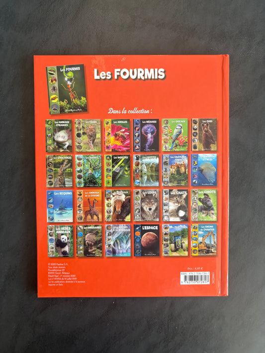Tout un monde en photos - Les fourmis | Album documentaire 5-7 ans