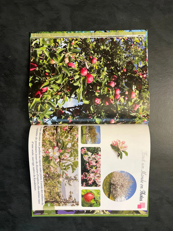 Tout un monde en photos - les arbres