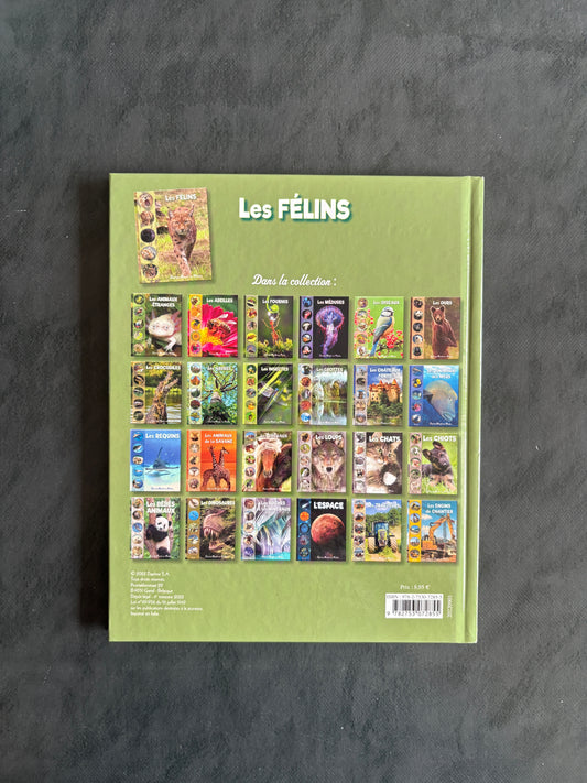 Tout un monde en photo - Les Félins | Documentaire photo 5-8 ans