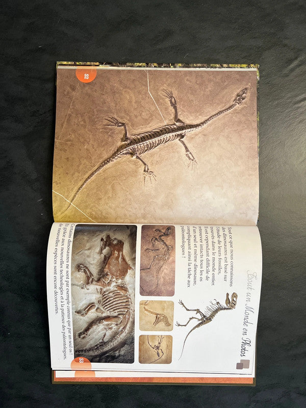 Livre tout un monde en photos - les dinosaures