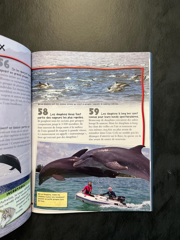 100 infos à connaître - Baleines et dauphins - Documentaire jeunesse