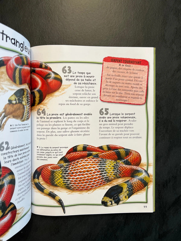 100 infos à connaître - les reptiles