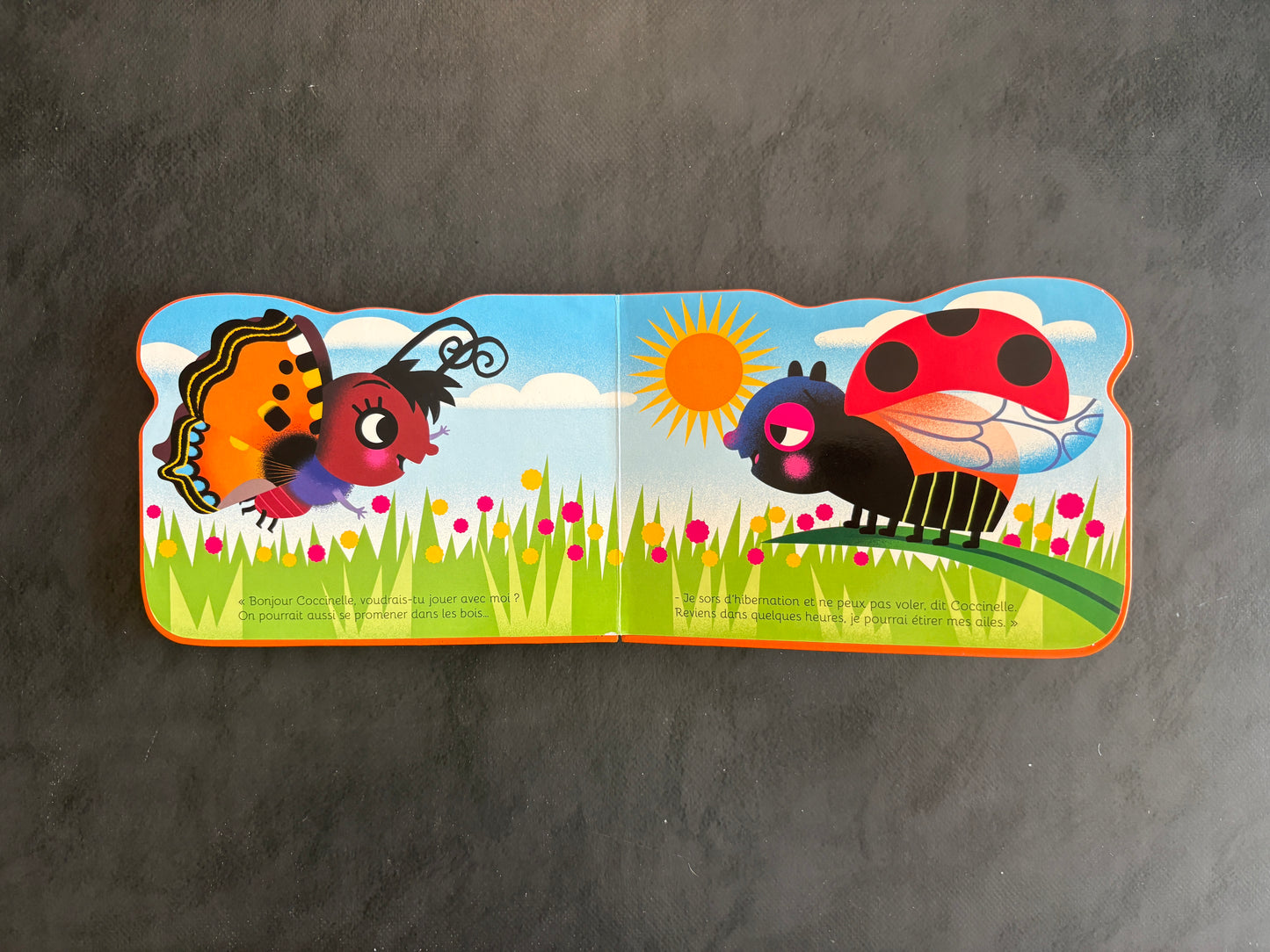 Livre cartonné mini animaux - papillon