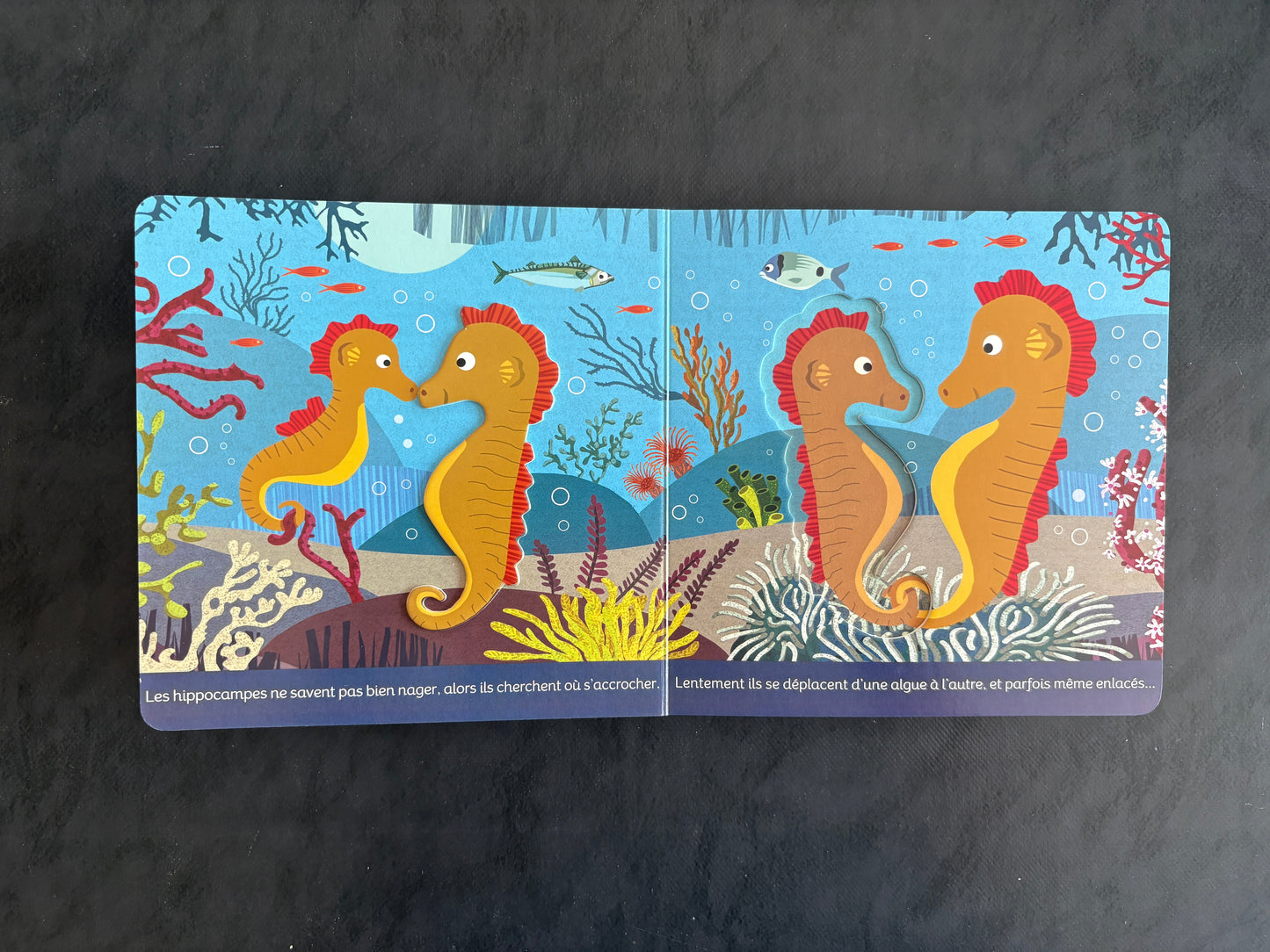Animaux des océans - Livre cartonné avec reliefs dès 1 an