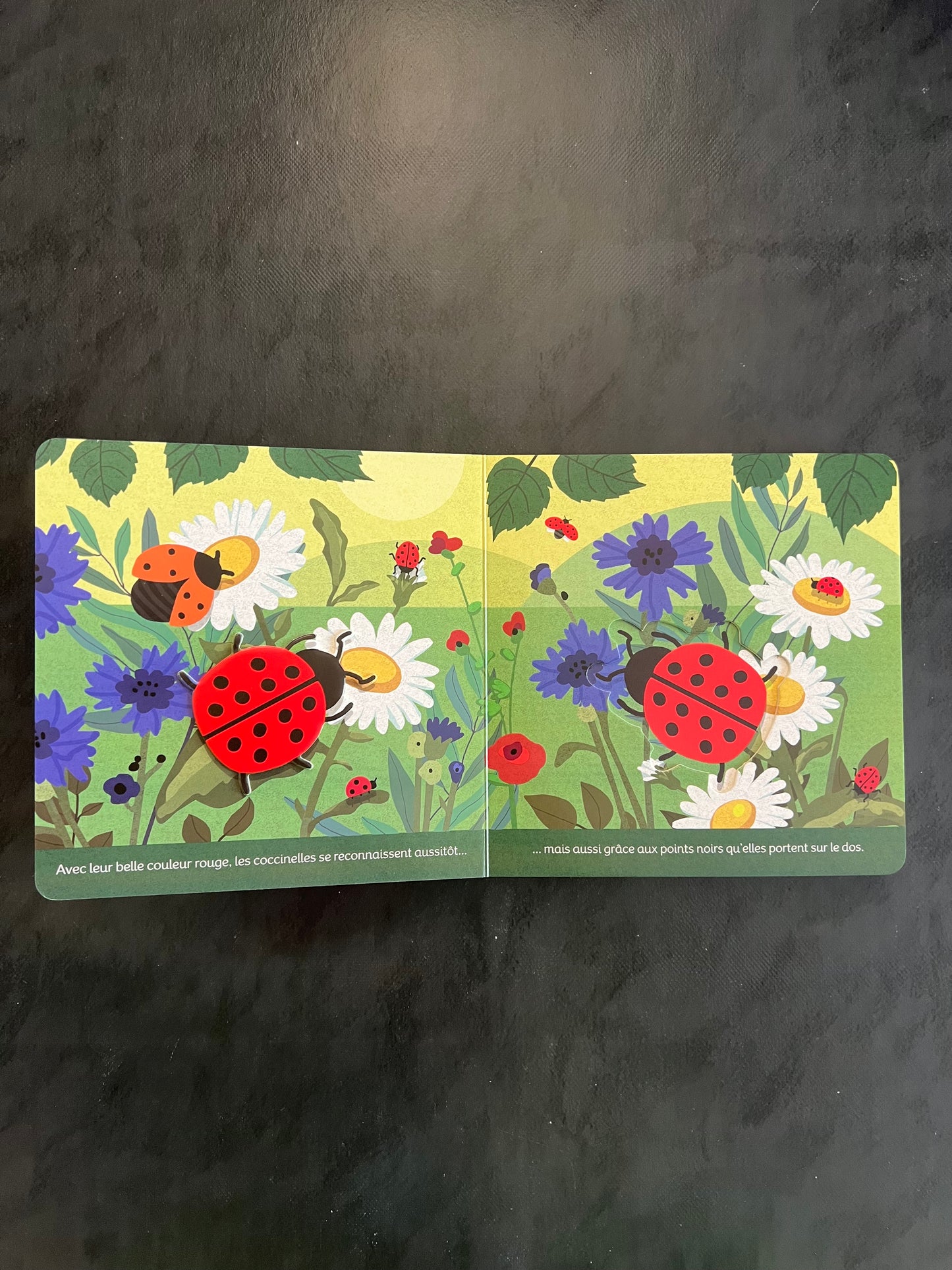 Insectes et petites bêtes - Livre cartonné avec reliefs (0-3 ans)
