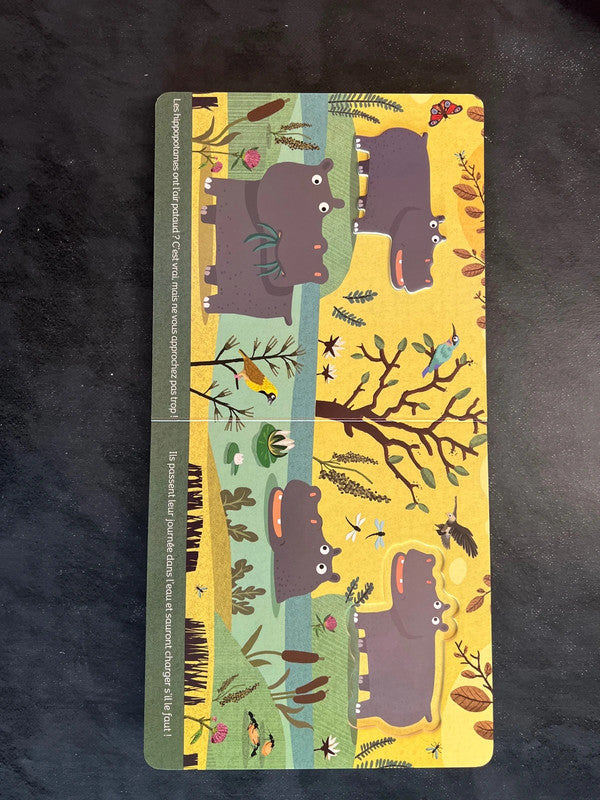 Livre cartonné - animaux de la savane