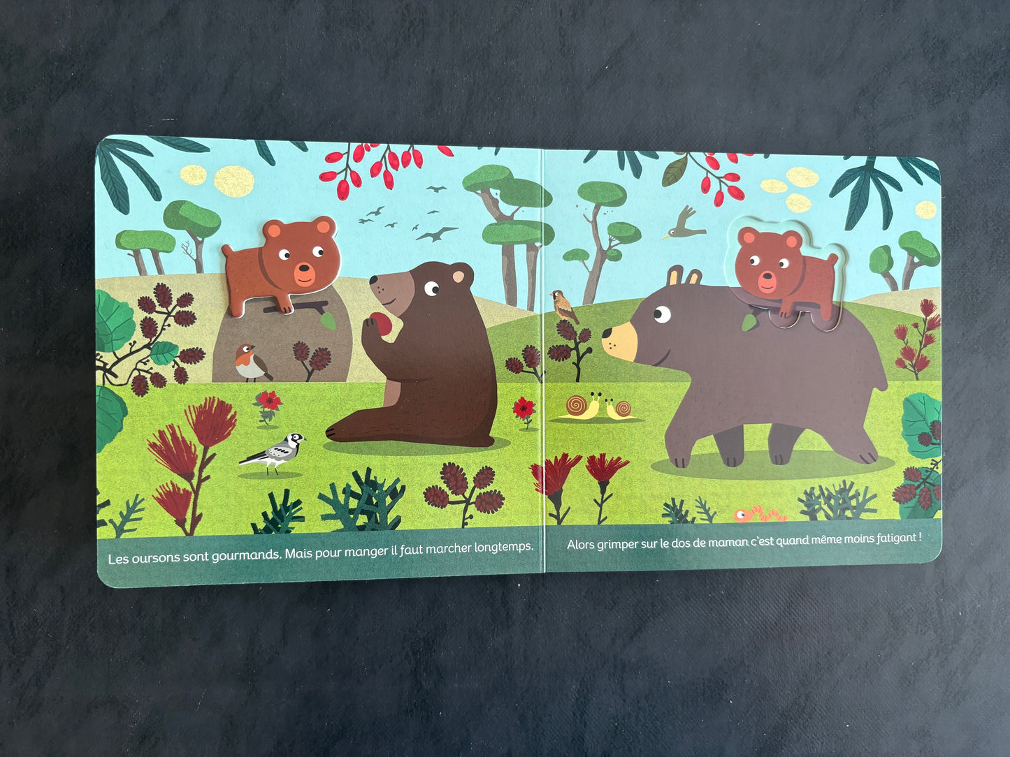 Livre cartonné - animaux de la forêt