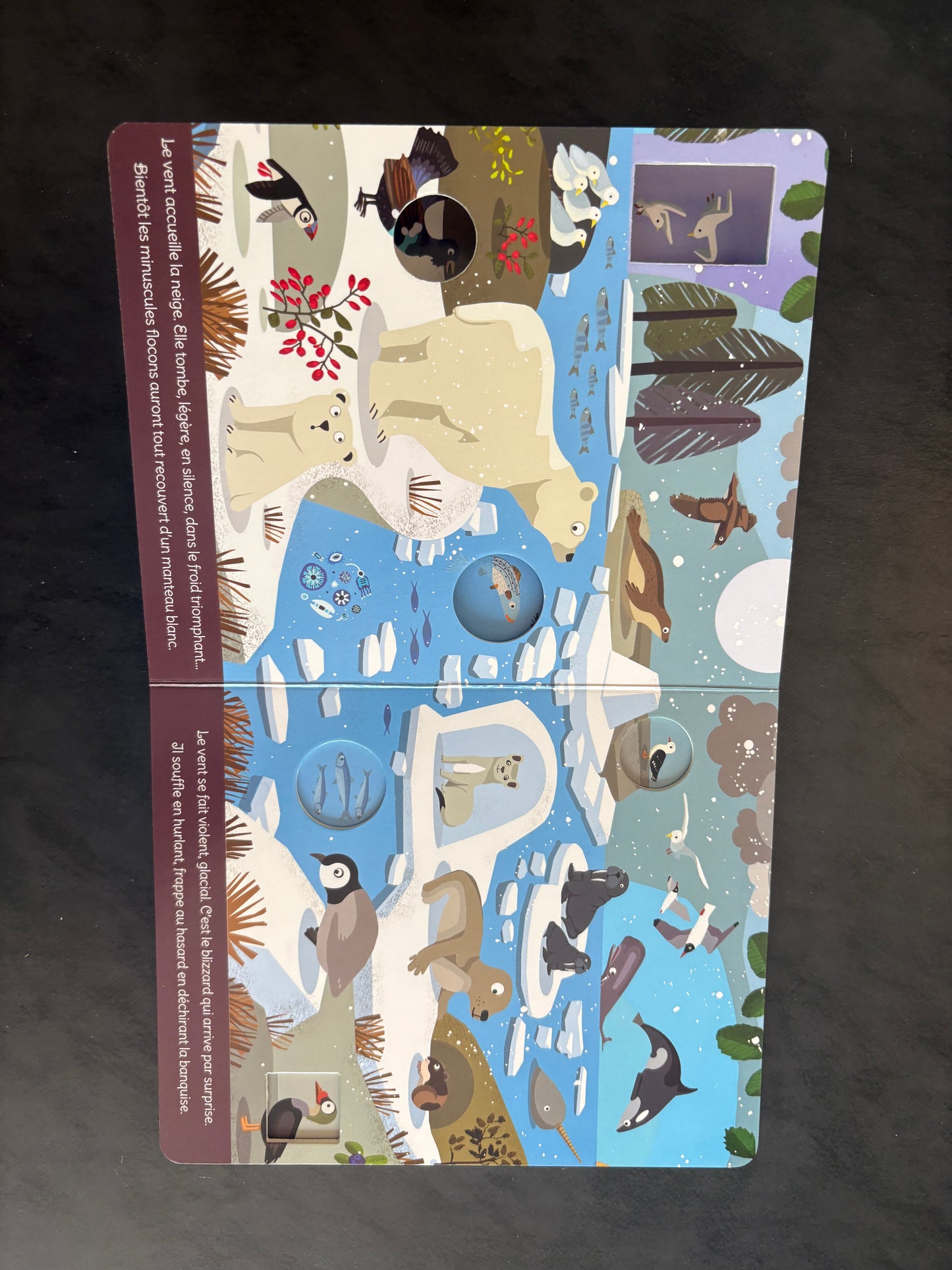 Livre cartonné - le voyage du vent