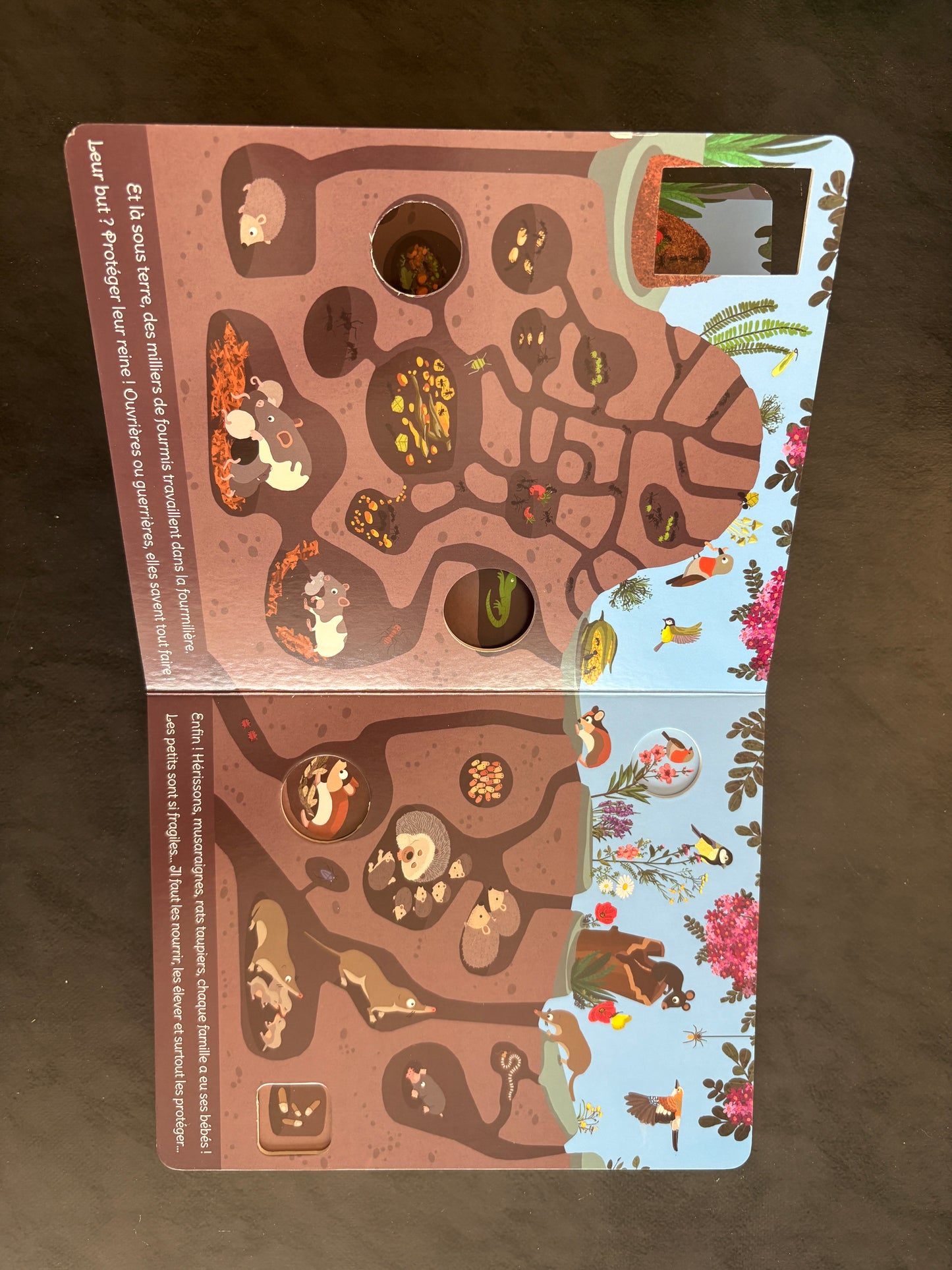 Livre cartonné - sous la terre