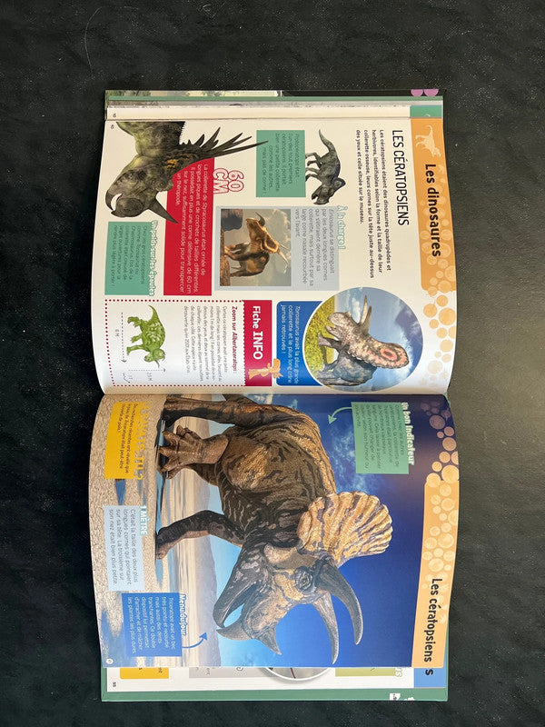 Tout comprendre - les dinosaures