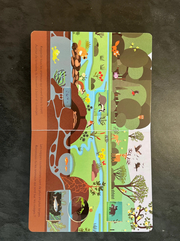 Livre cartonné - le voyage de l’eau