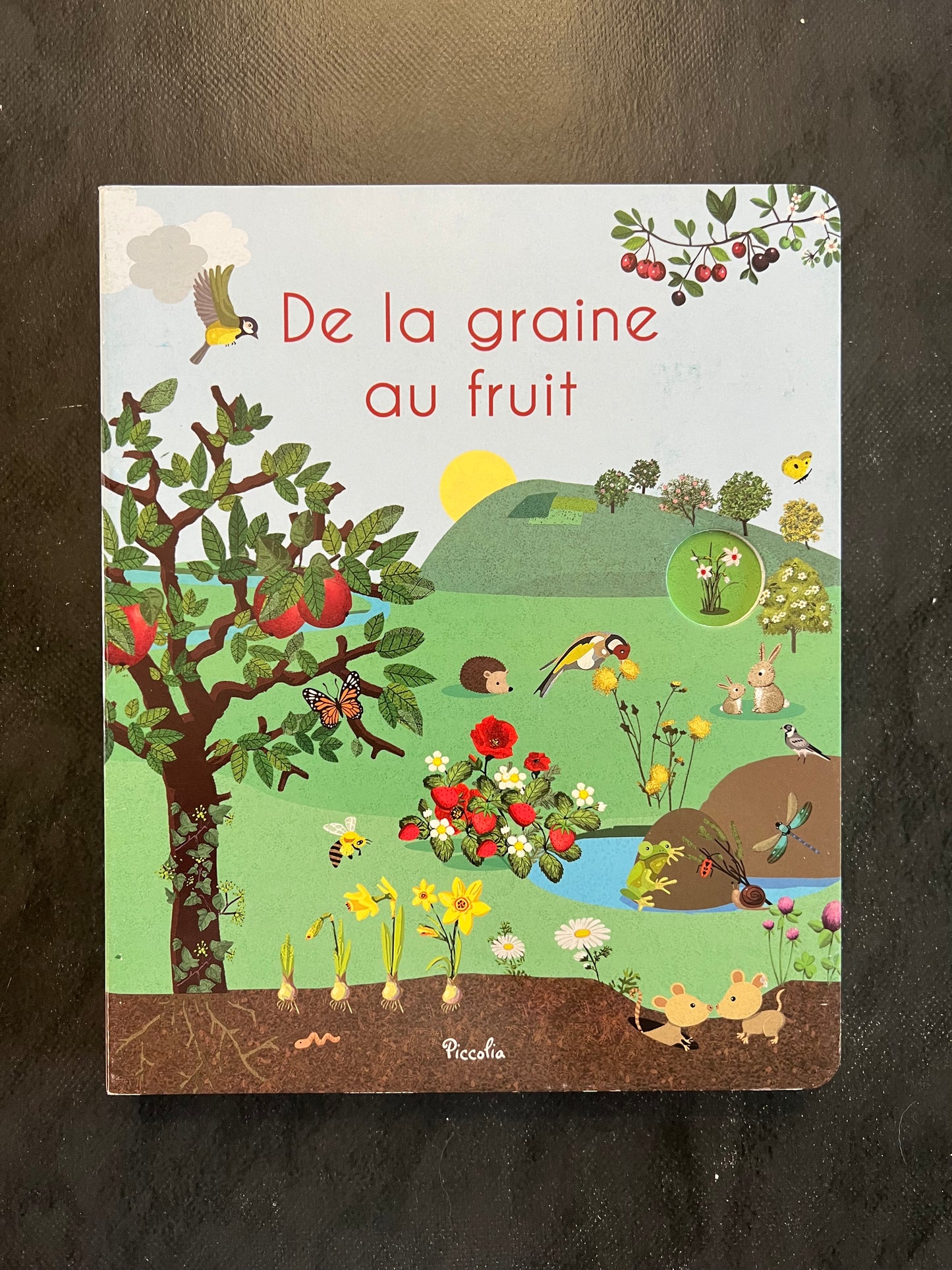 Livre cartonné - De la graine au fruit | Découverte nature 3-6 ans