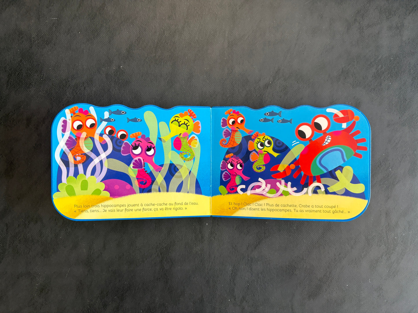 Livre cartonné mini animaux - Crabe