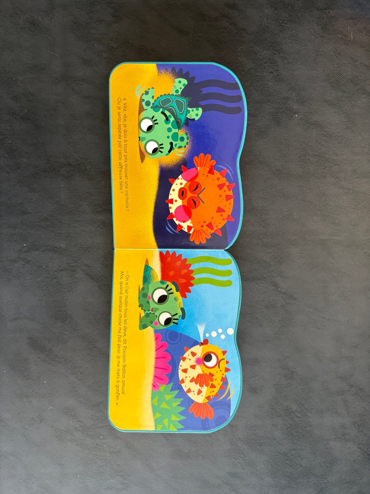 Livre cartonné mini animaux - tortue