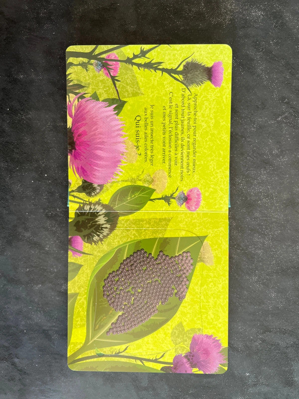 À qui est cet œuf ?