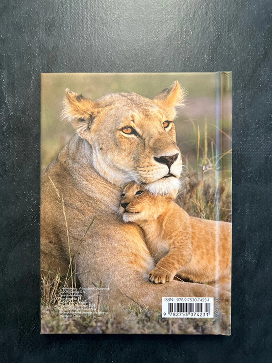 Carnet de notes - lion