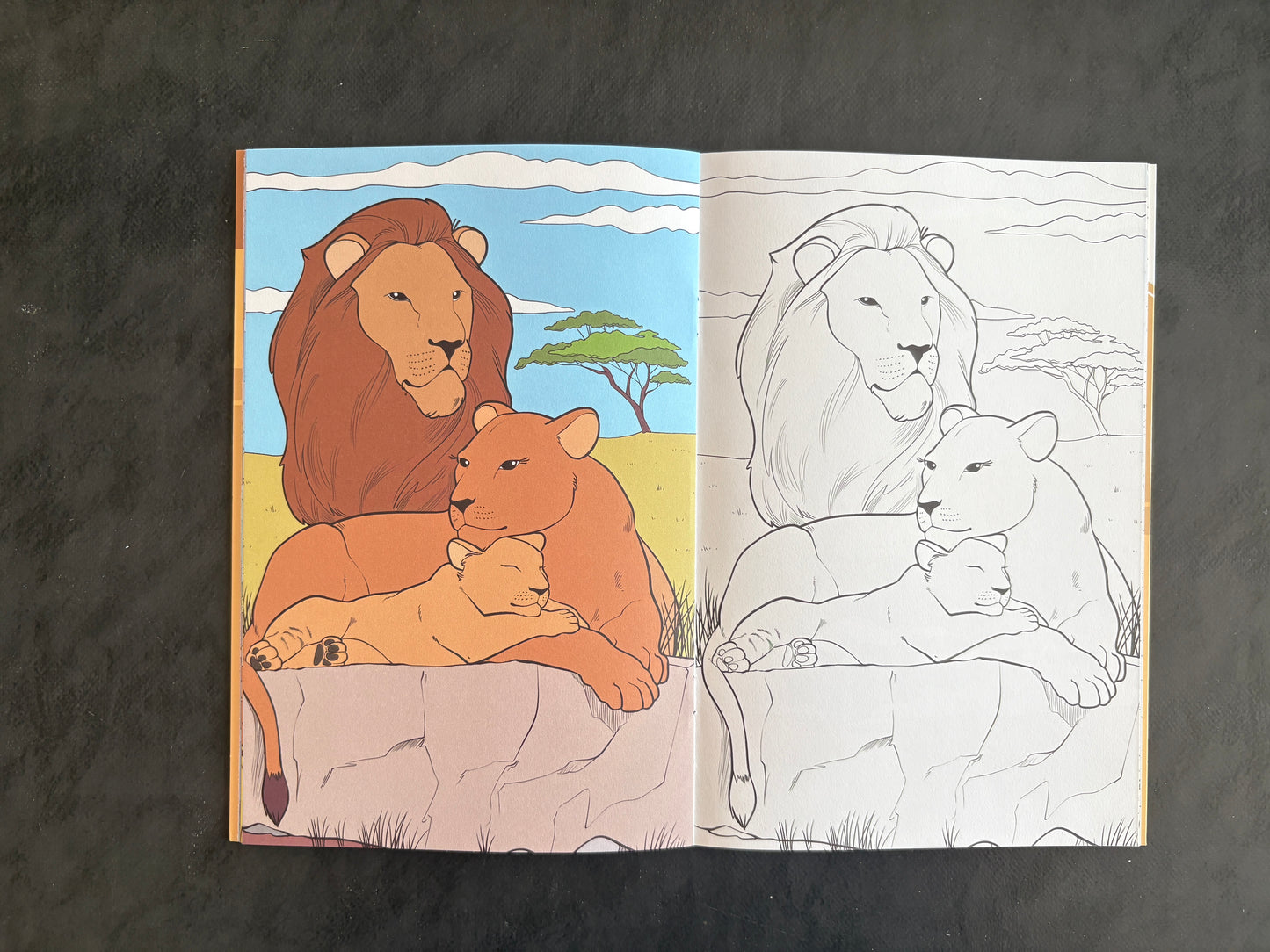 Livre de coloriage - Les animaux de la savane